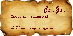 Csesznik Zsigmond névjegykártya
